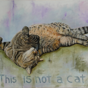 This is Not a Cat