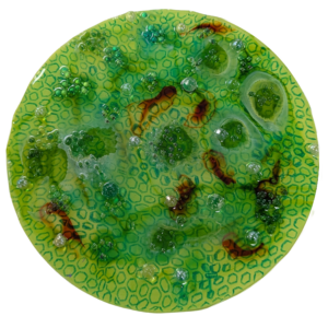 Diatom Small round green