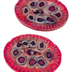 Duo Diatoms Oval pink