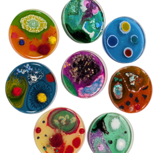 Petri dishes 3.5“ diameter 
