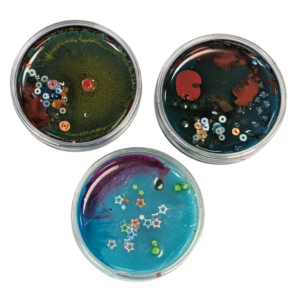Petri dishes 2“ diameter 