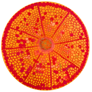 Diatom Small round orange