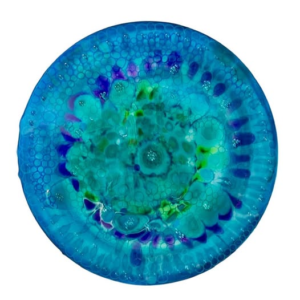 Diatom Large round blue